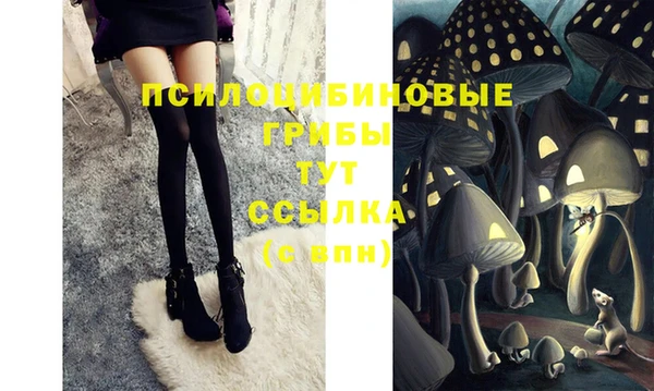 каннабис Нефтекумск