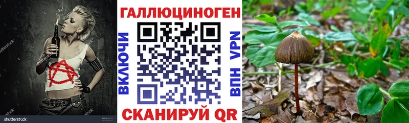 закладки МЕГА зеркало Галлюциногенные грибы Cubensis Котово